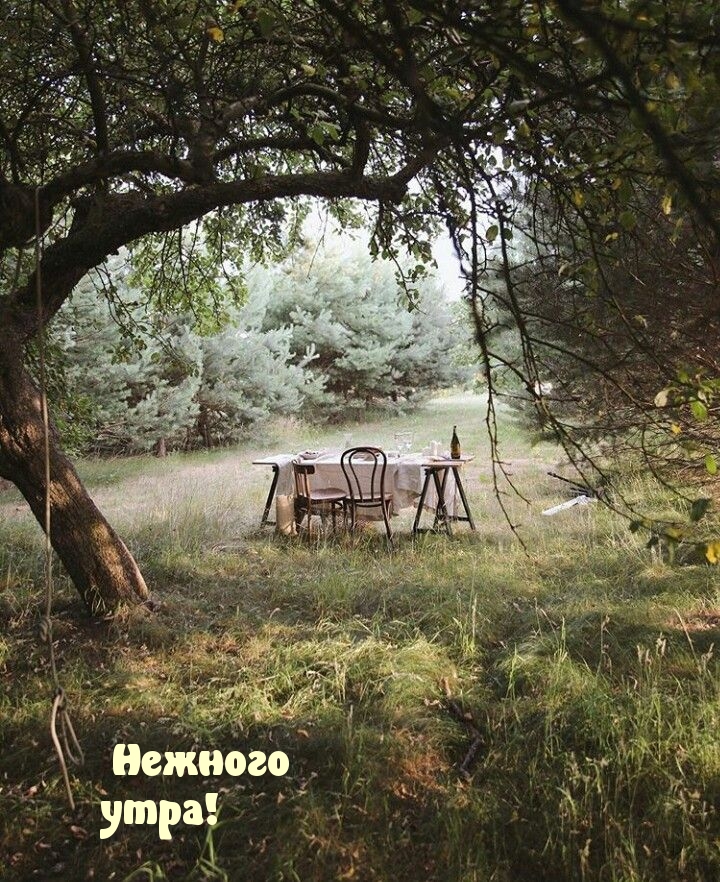 Открыть в полном размере Нежного утра!