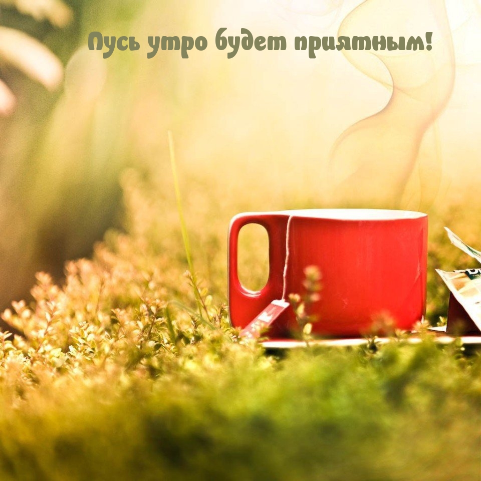 Открыть в полном размере Пусь утро будет приятным!
