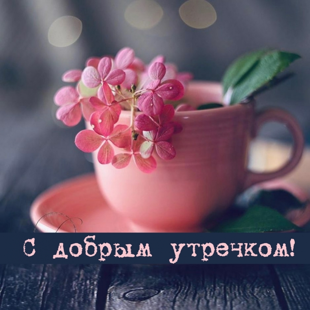   !