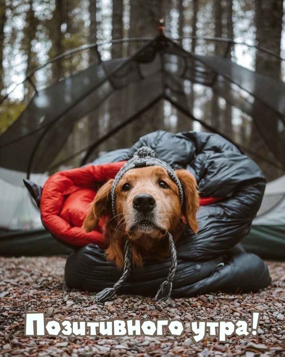 ����������� ����!