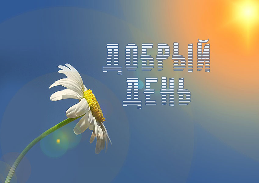 ������ ����!