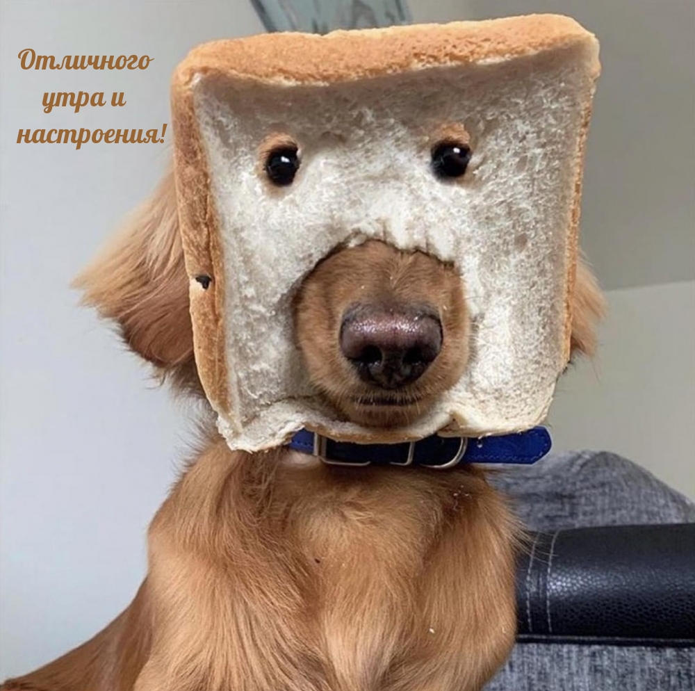    !