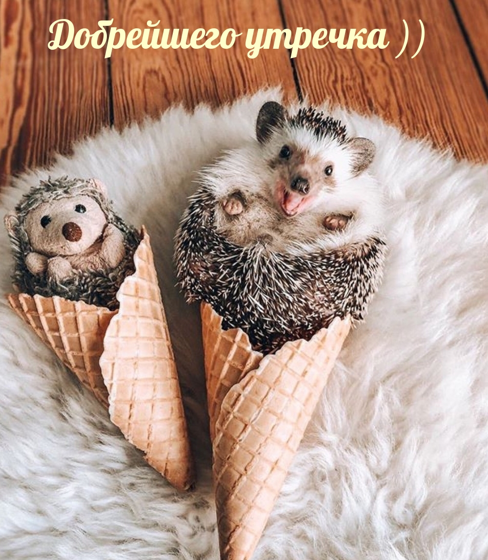 Открыть в полном размере Добрейшего утречка ))