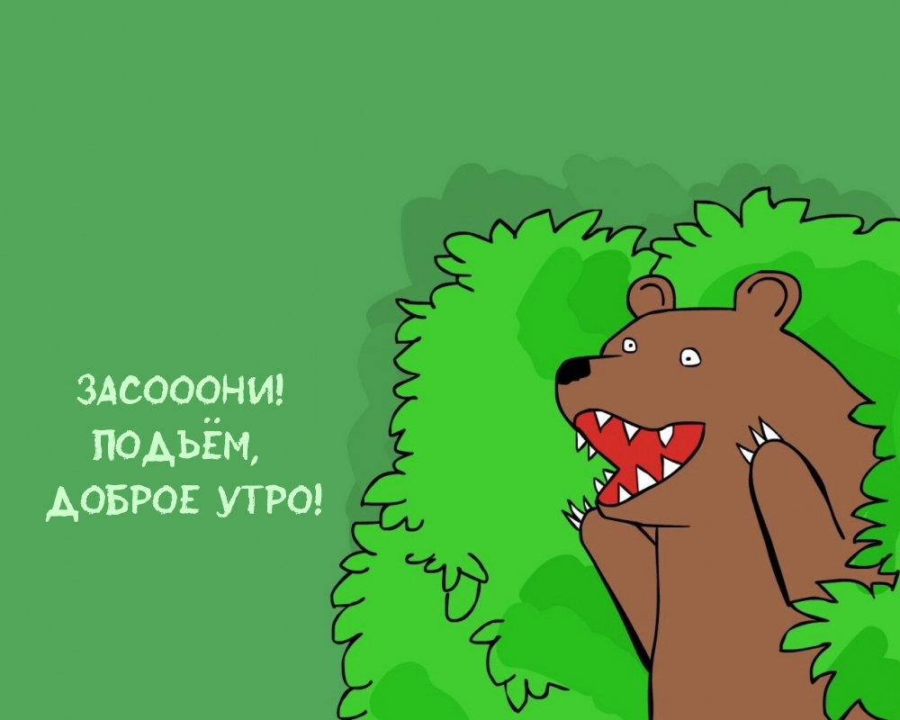 Открыть в полном размере Засооони! Подъём, доброе утро!