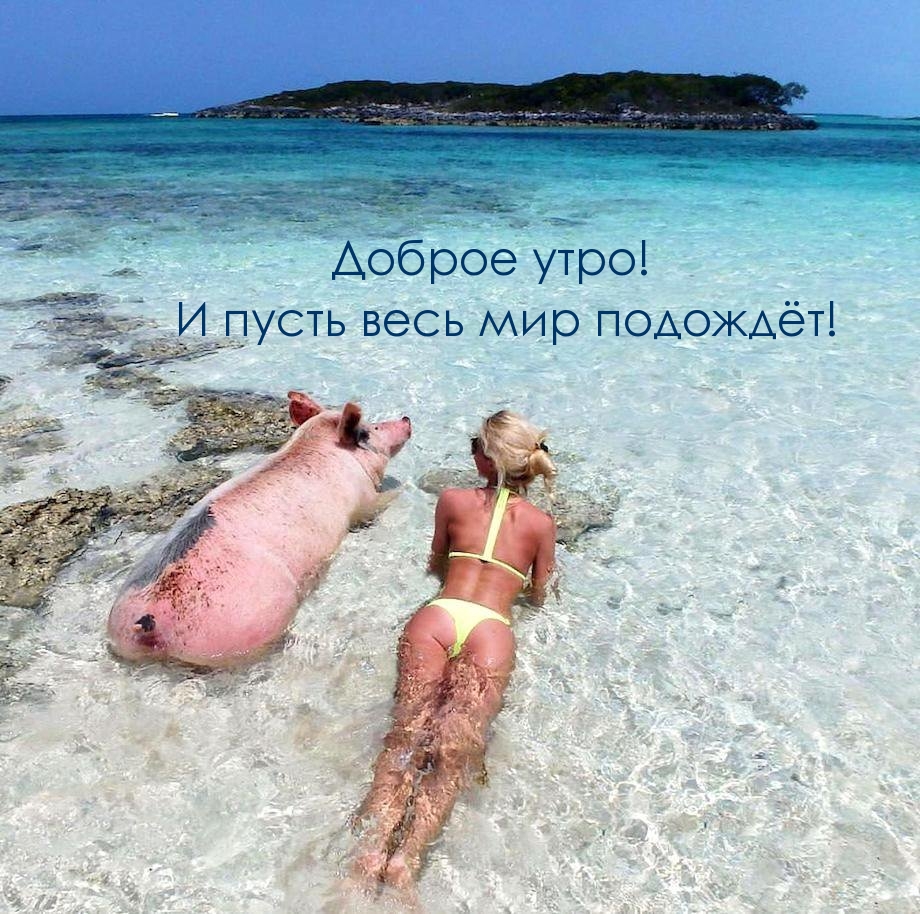 Открыть в полном размере Доброе утро! И пусть весь мир подождёт!