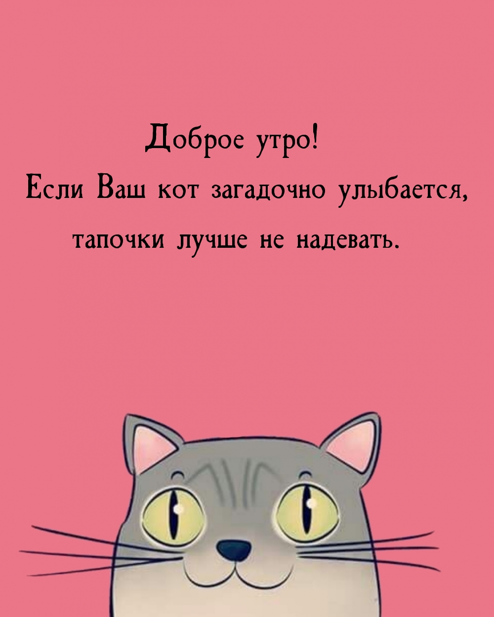 Открыть в полном размере Доброе утро! Если Ваш кот загадочно улыбается...
