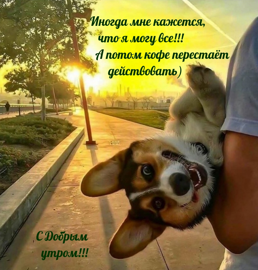  ������ ��� �������, ��� � ���� ���! � ����� ���� �������� �����������)