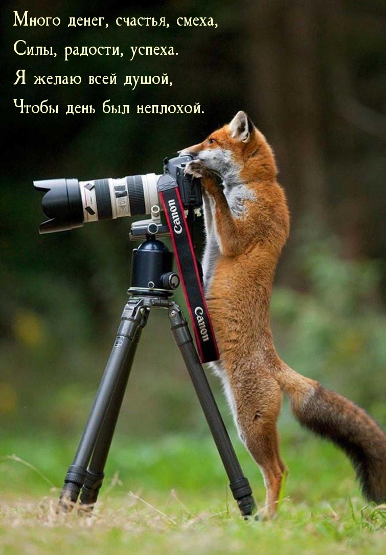 � ����� ���� �����, ����� ���� ��� ��������.