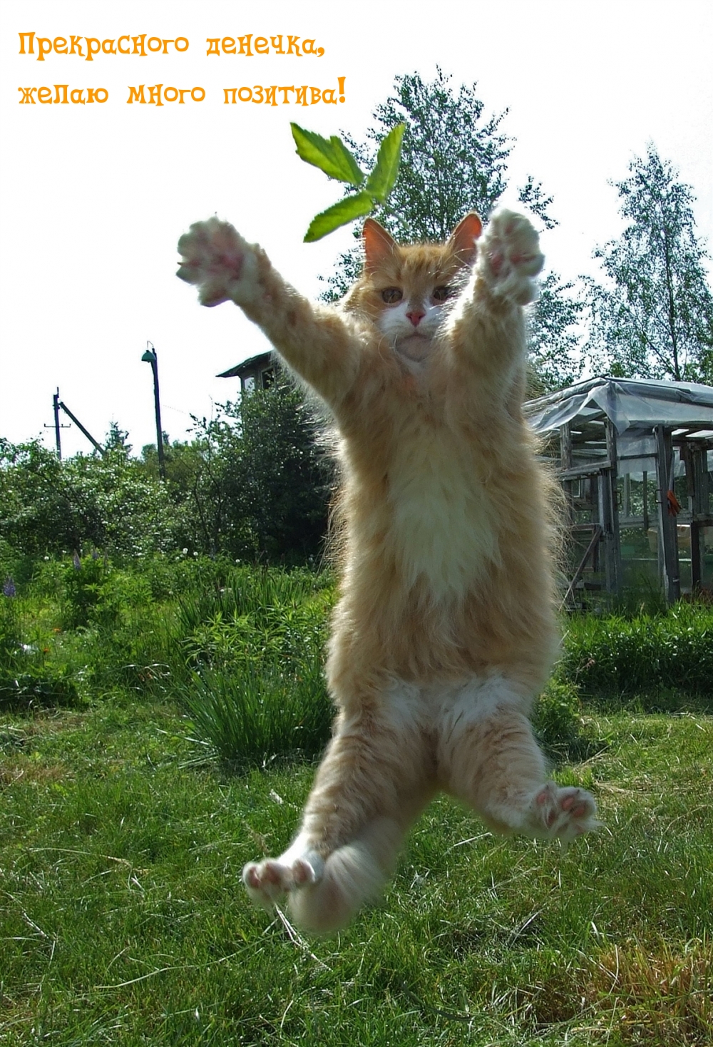 ����������� �������, ����� ����� ��������!