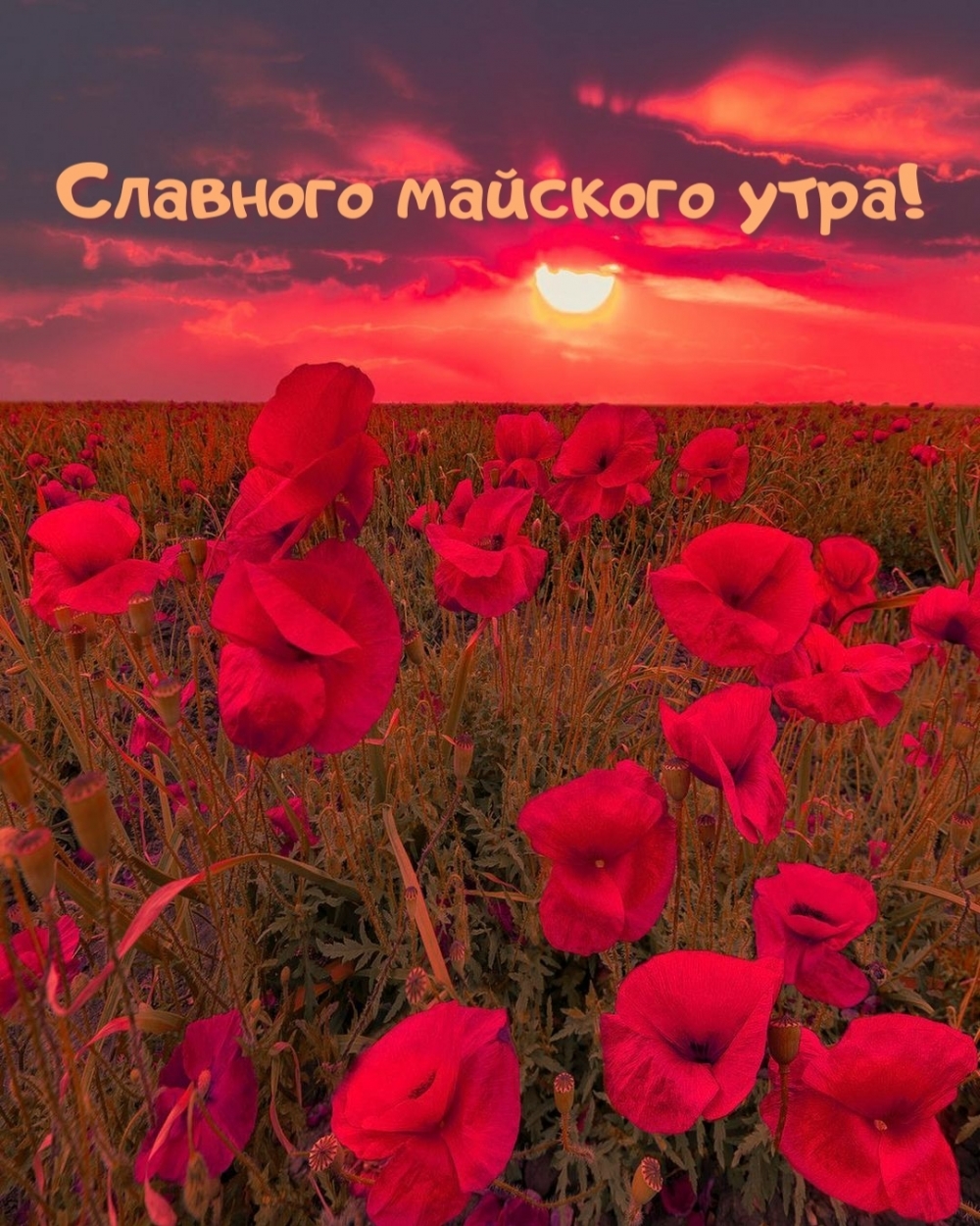   !
