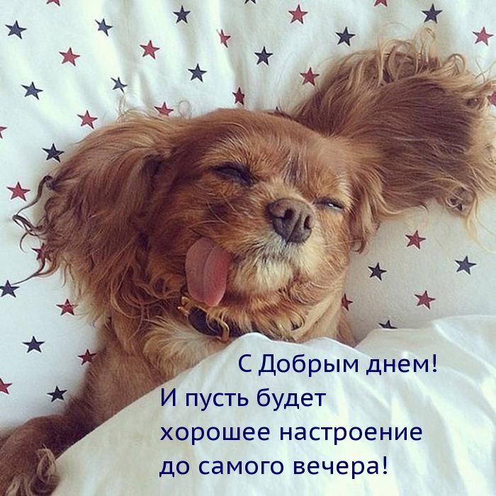 � ������ ����! � ����� ����� ������� ����������