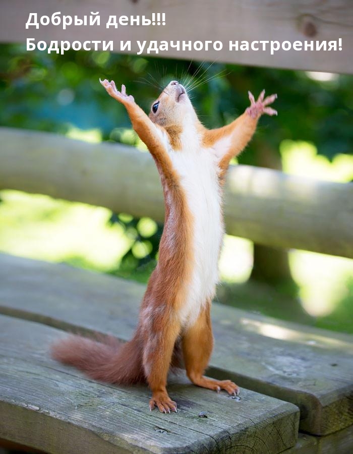 ������ ����! �������� � �������� ����������!