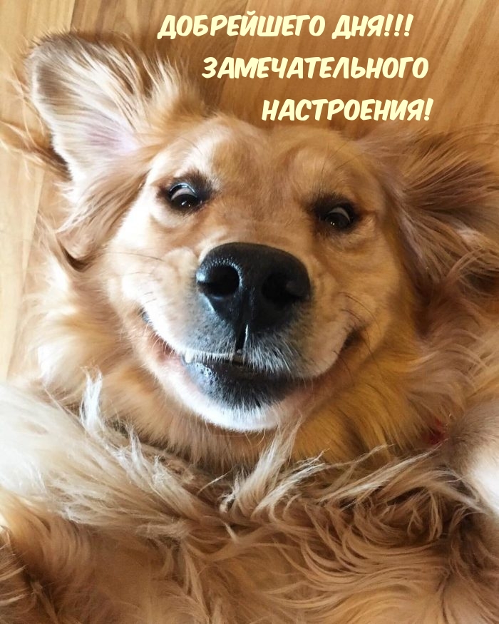 ���������� ���! �������������� ����������! 