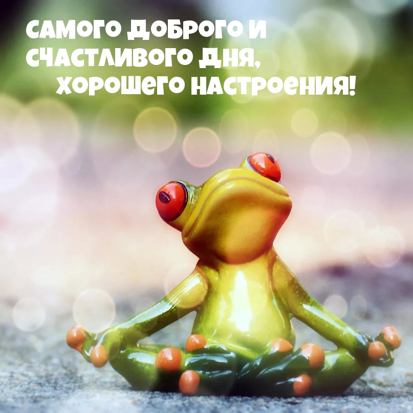 ������ ������� � ����������� ���, �������� ����������!