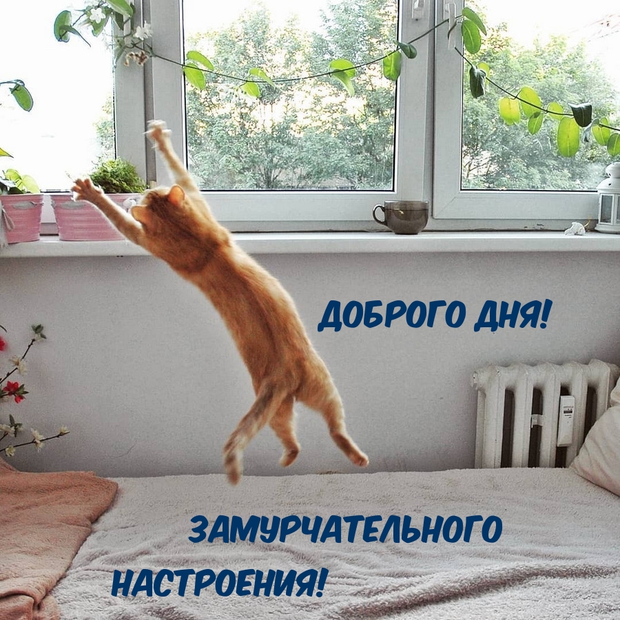  !  !