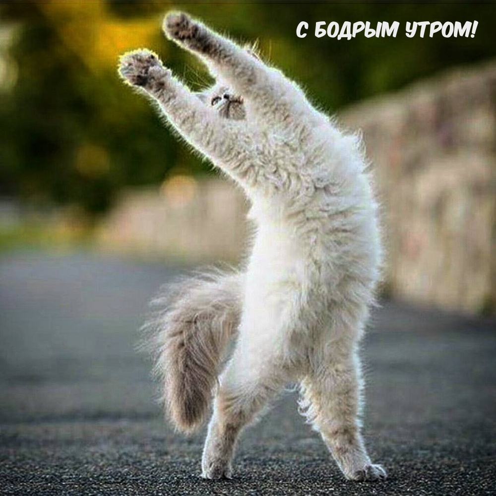   !