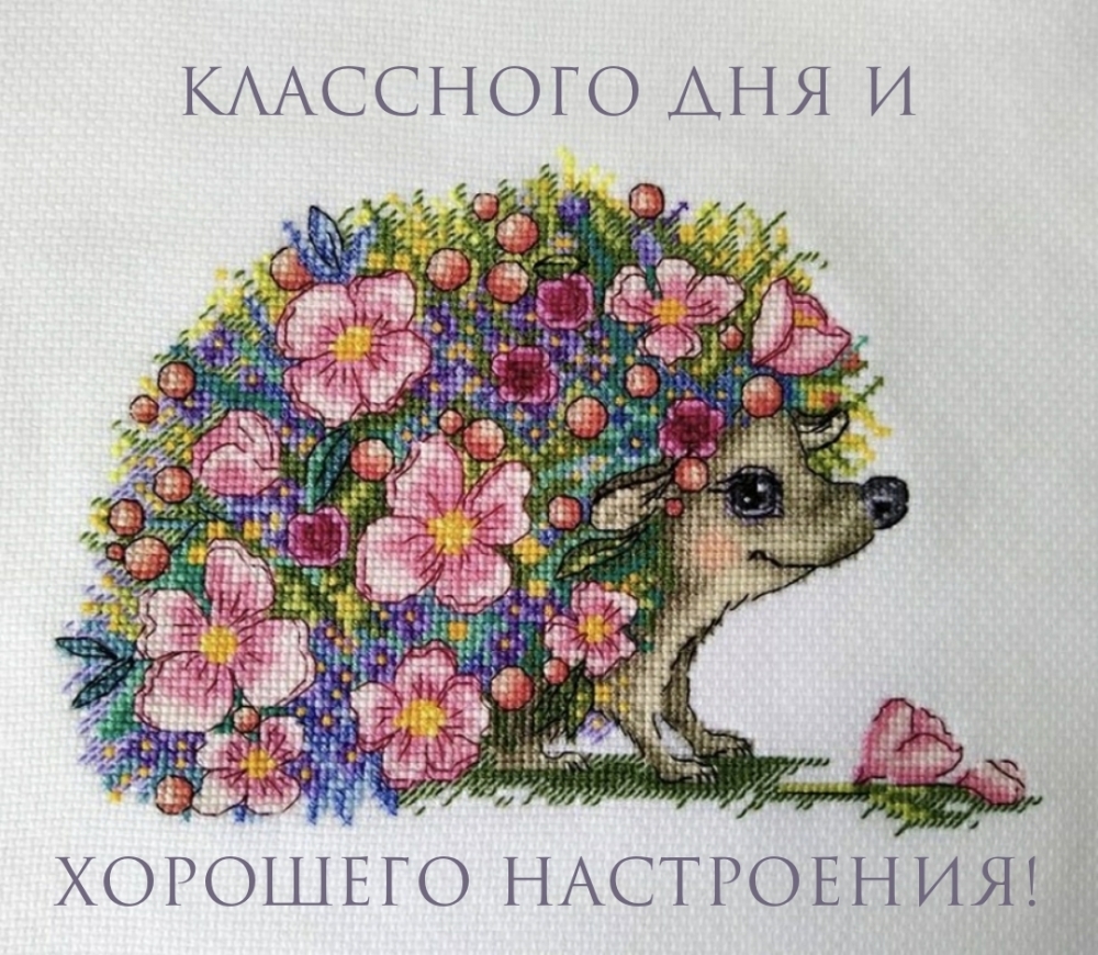 ��������� ��� � �������� ����������!