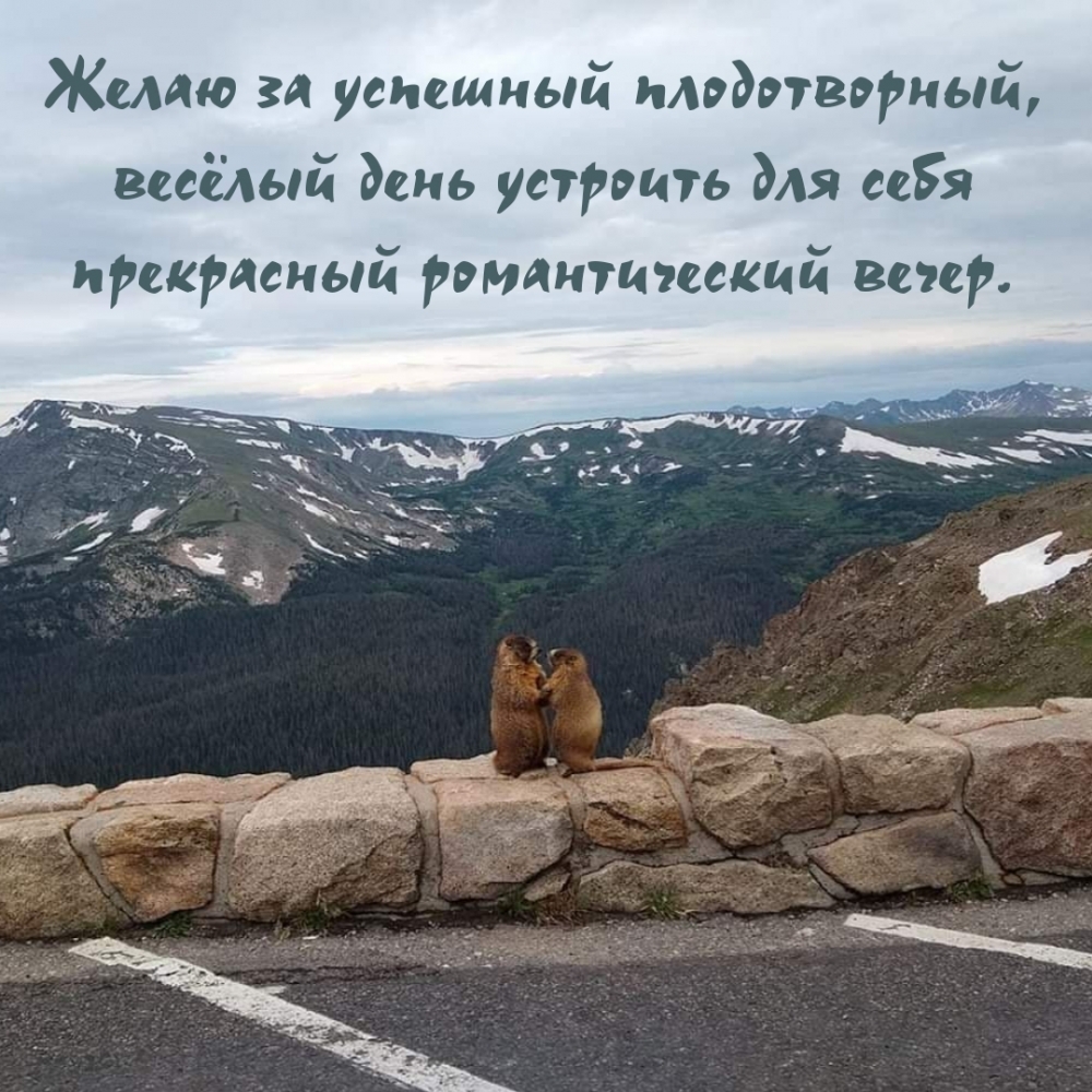    ,  ....