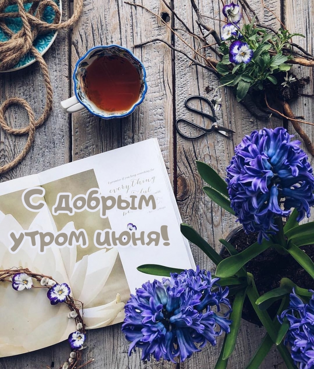 � ������ ����� ����!