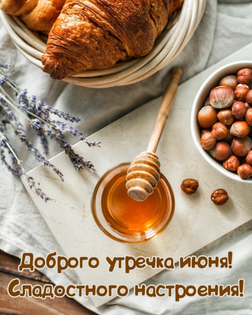 ������� ������� ����! ����������� ����������!