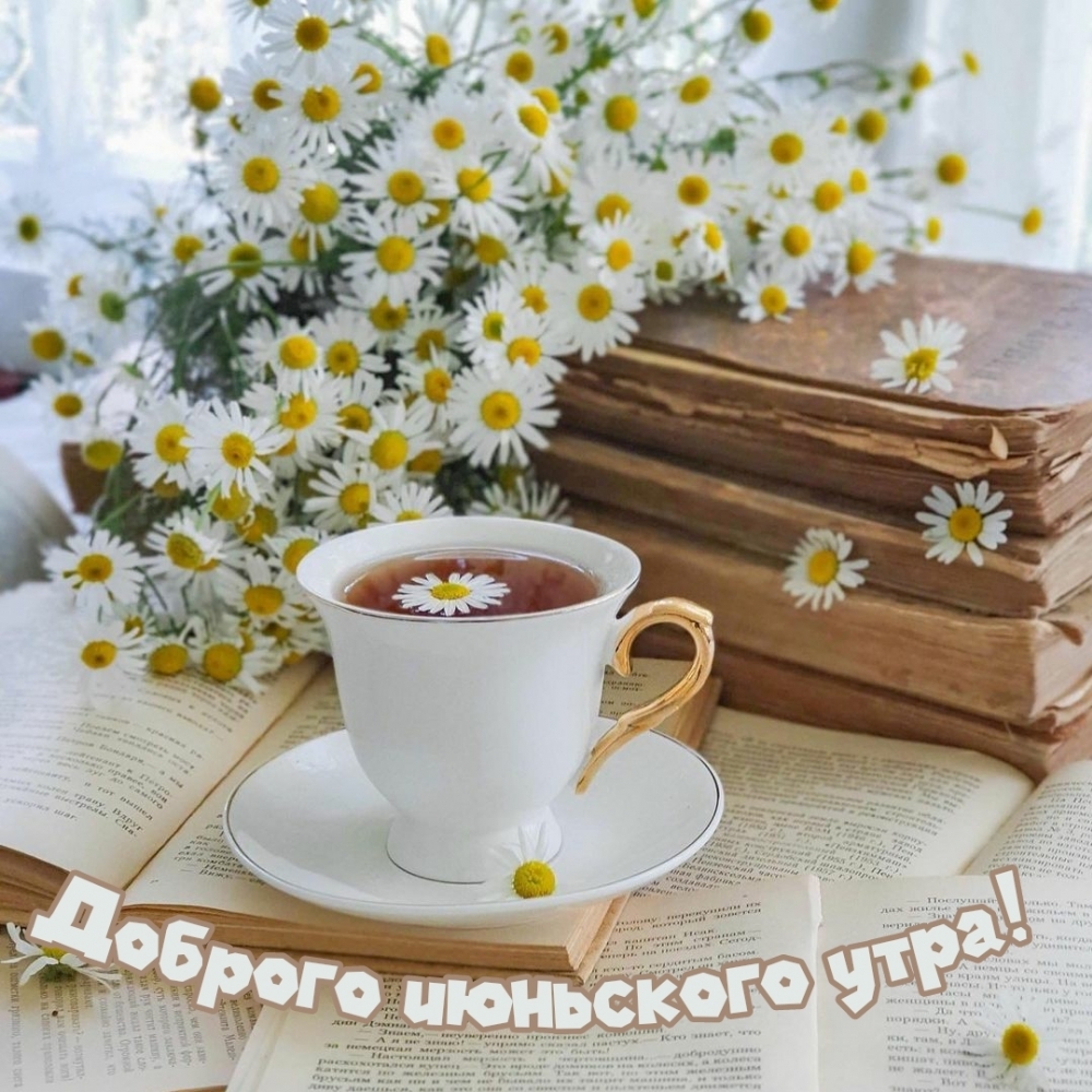 ������� ��������� ����!