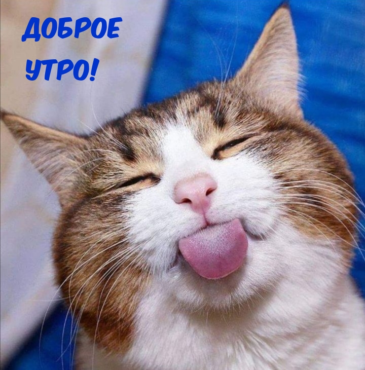  !