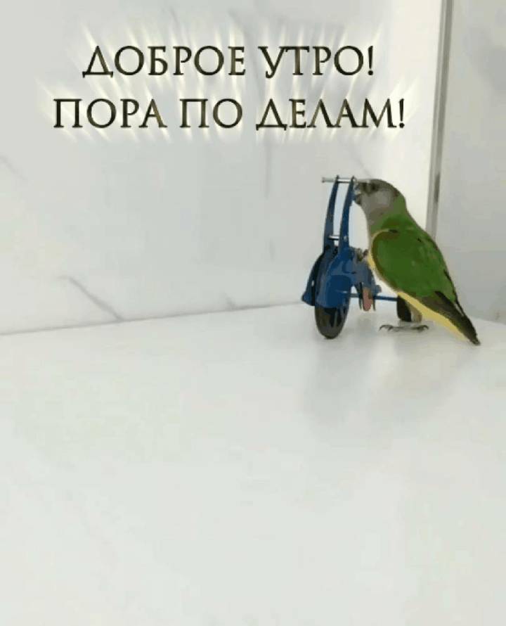  !   !