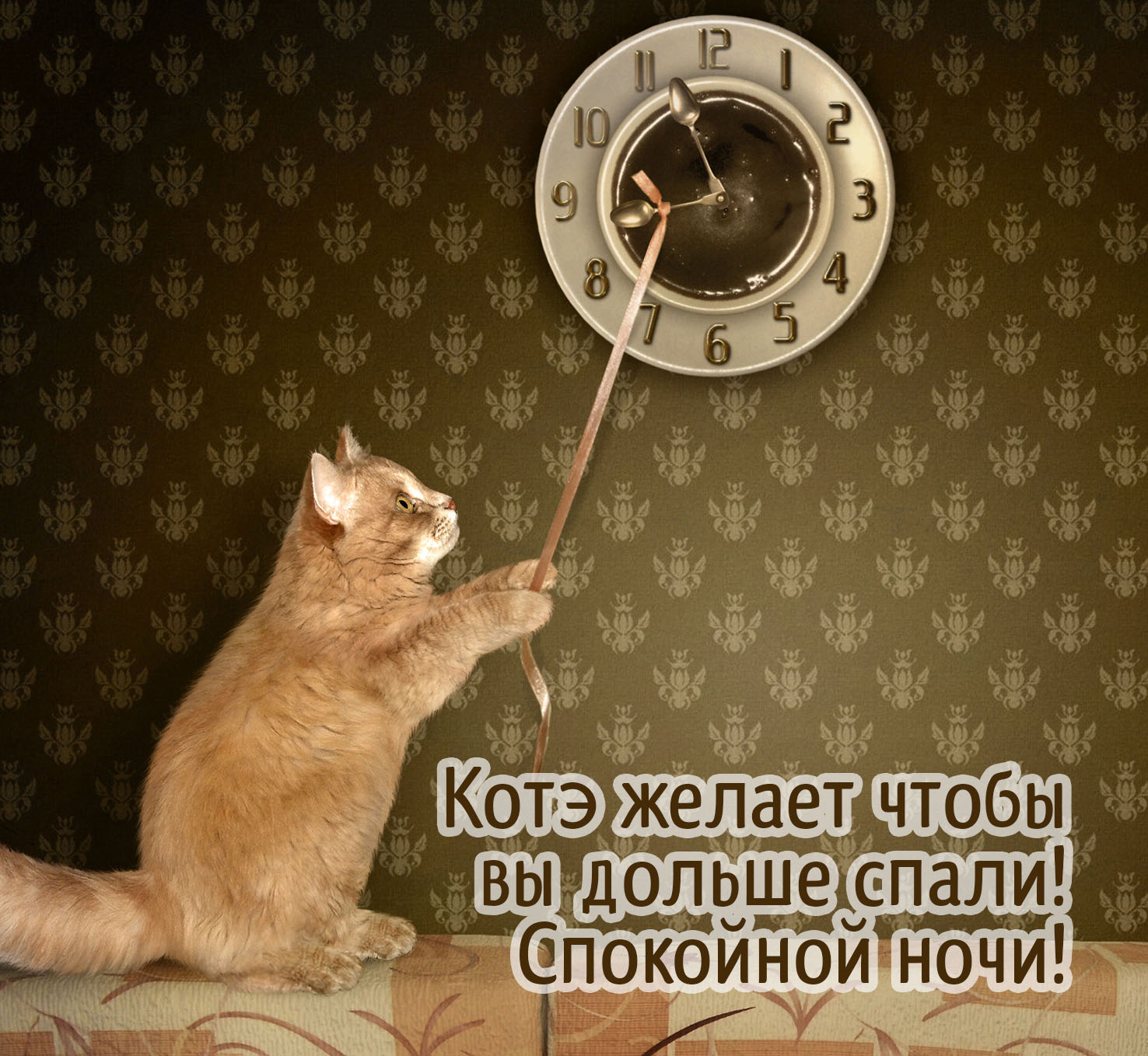 ���� ������, ����� �� ������ �����!