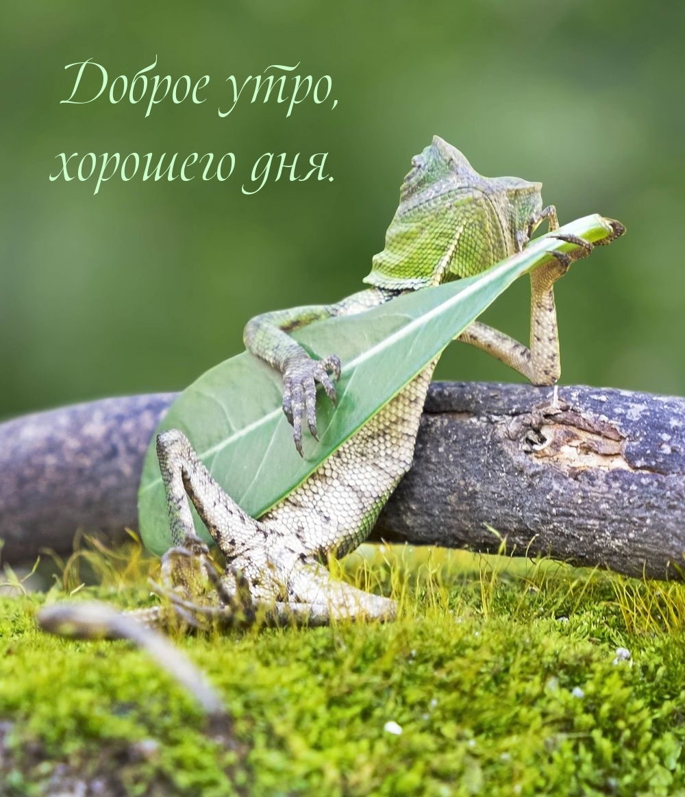  ,  .