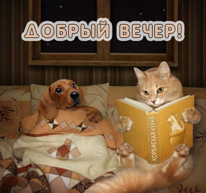 Открытки с пожеланиями на вечер