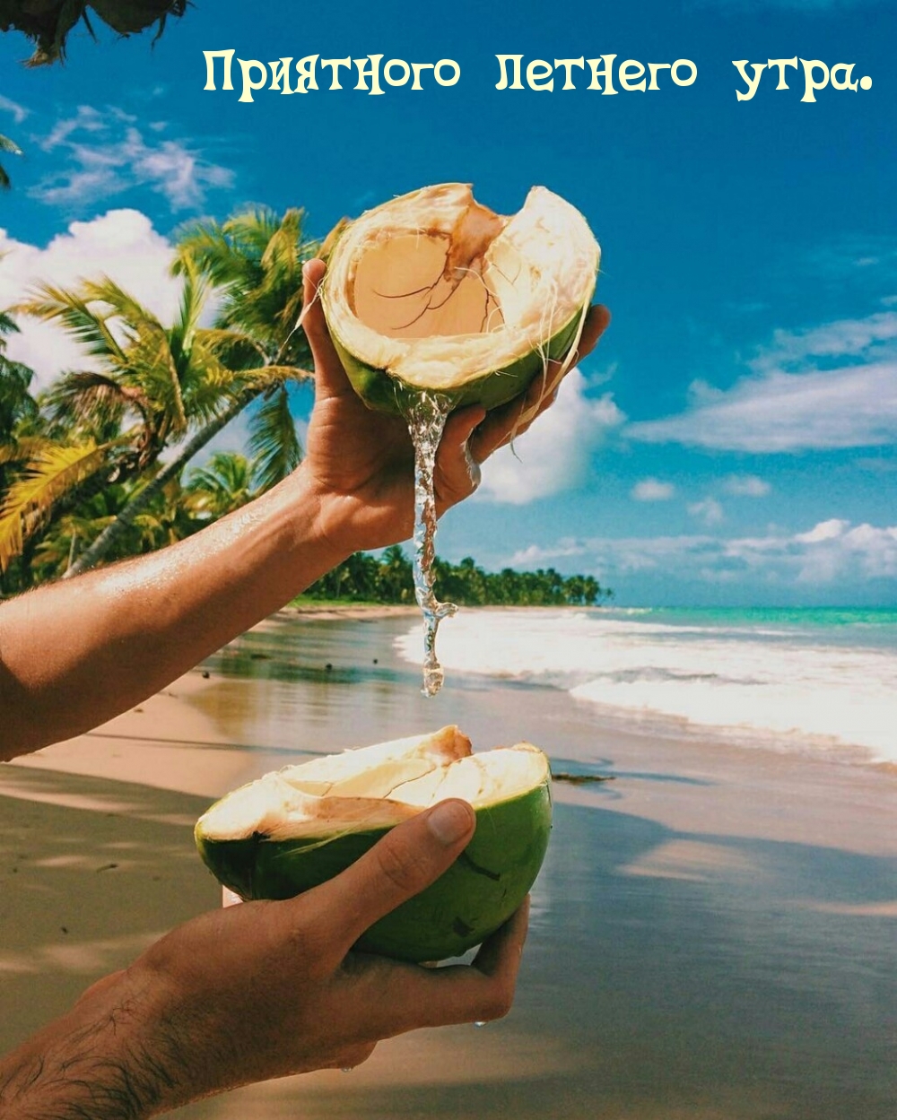 ��������� ������� ����.