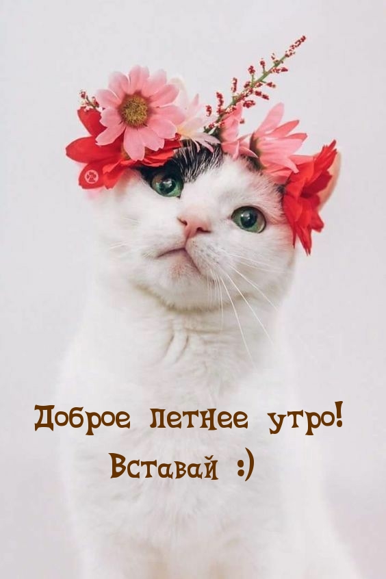 ������ ������ ����! ������� :)