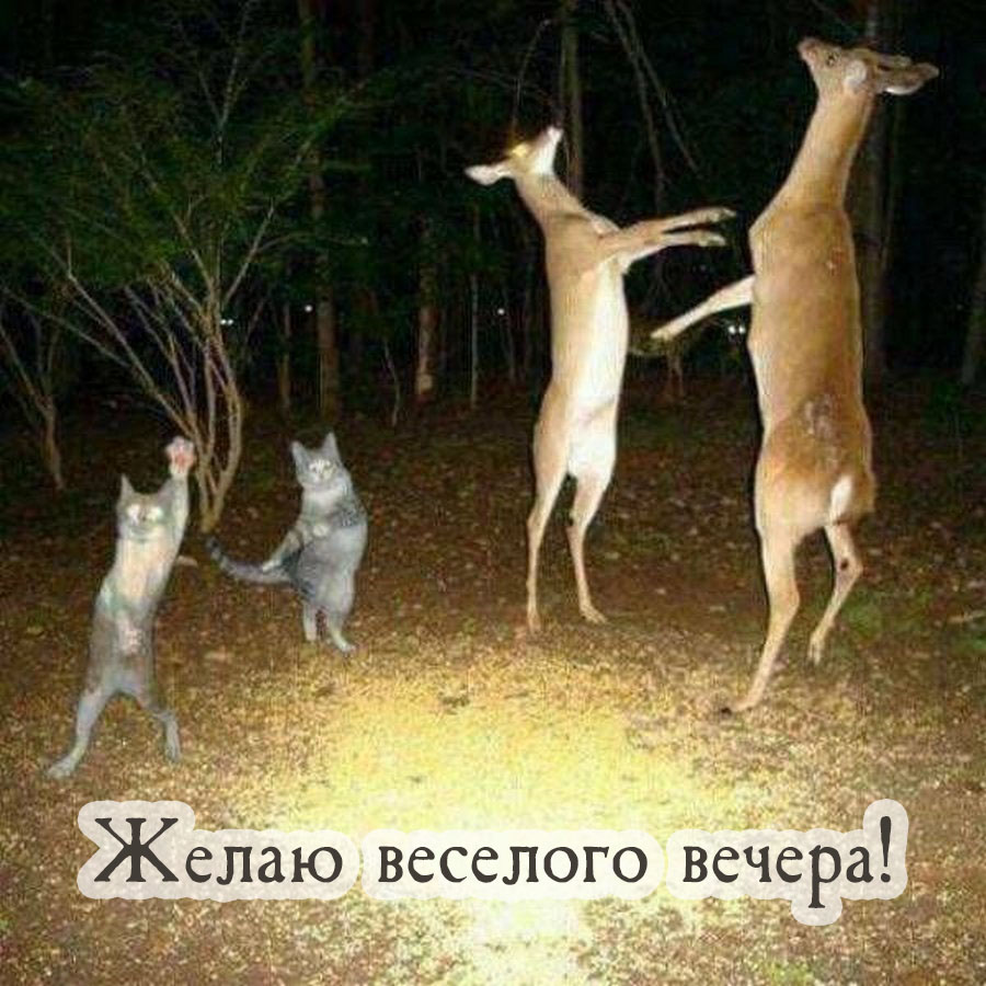   !