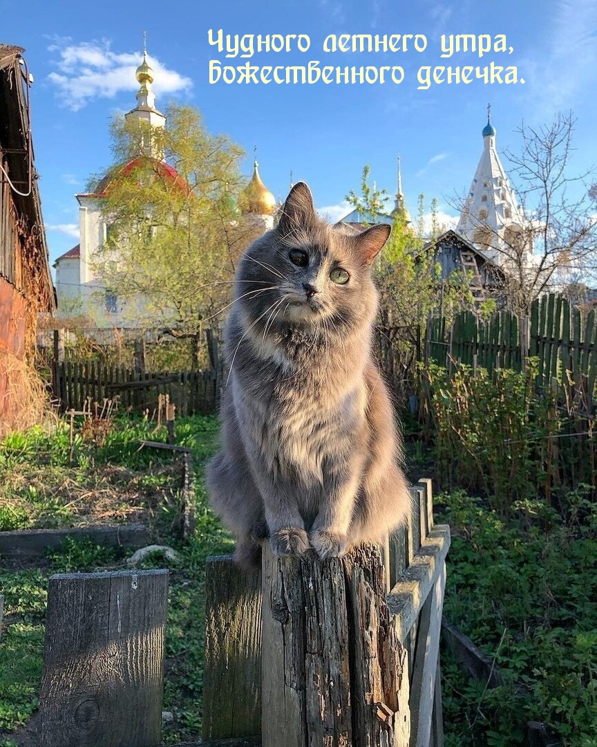   ,  .