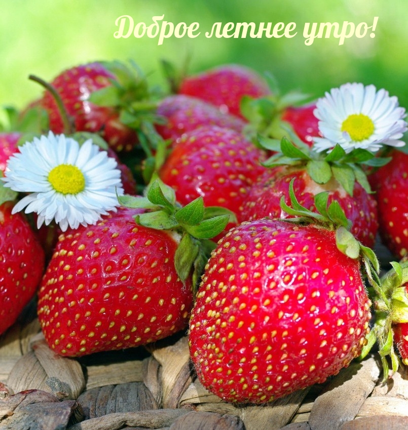 ������ ������ ����!