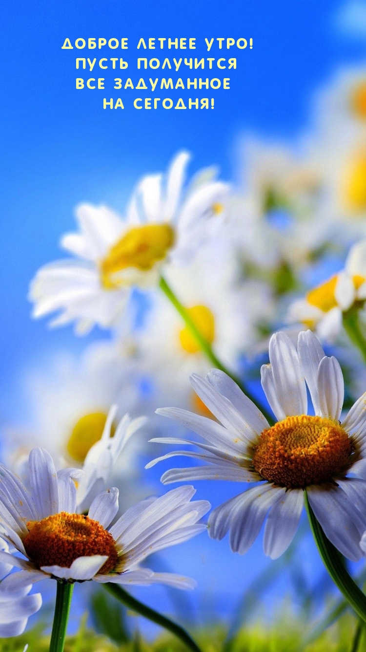 ������ ������ ����! ����� ��������� ��� ���������� ��� �������!