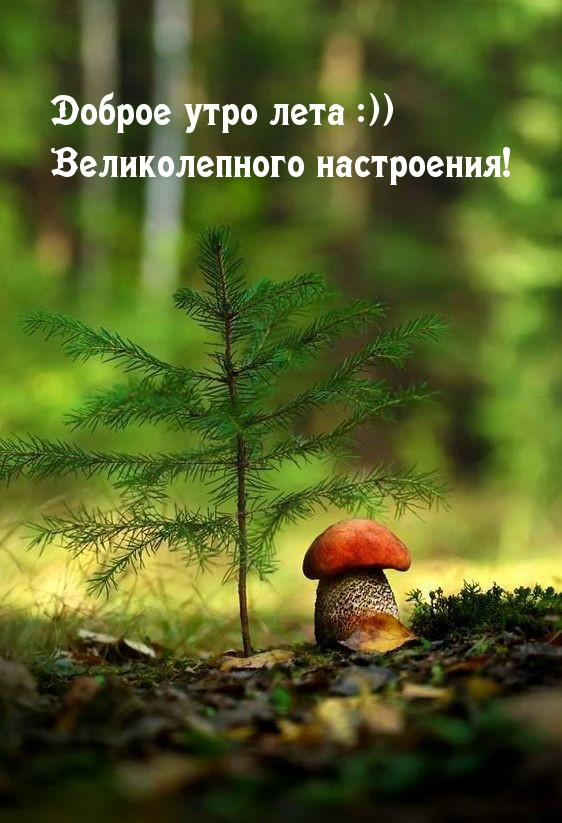    :))  !