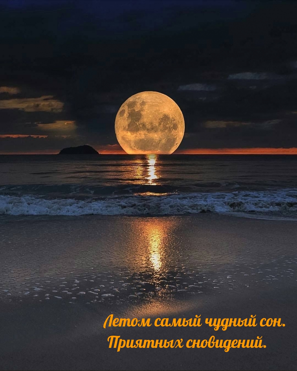 ����� ����� ������ ���. �������� ����������.