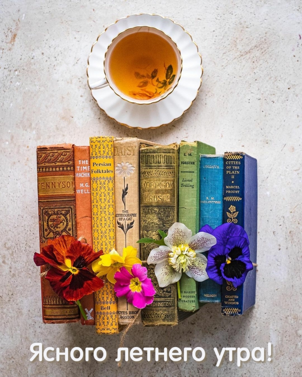 ������ ������� ����!