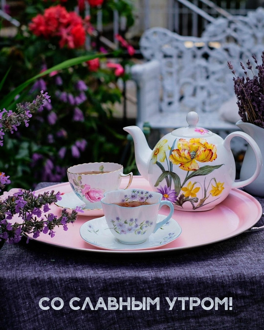 �� ������� �����!