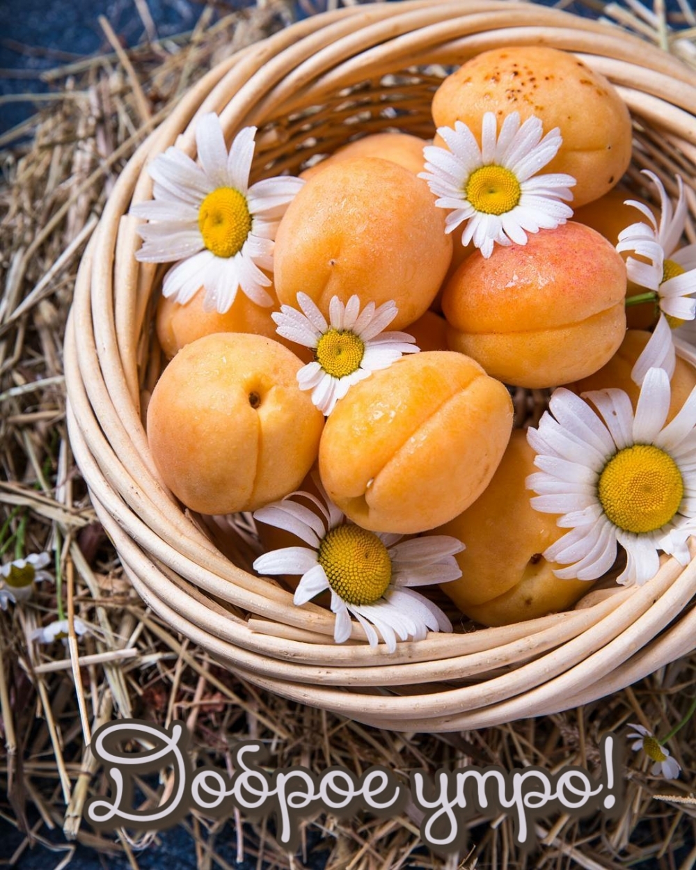 ������ ����!