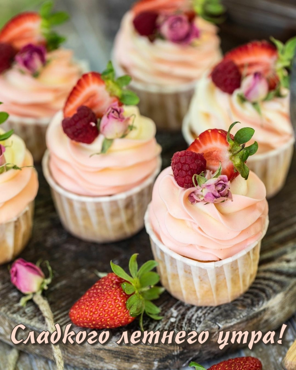 �������� ������� ����!