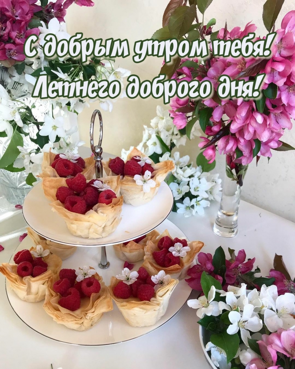 � ������ ����� ����! ������� ������� ���!