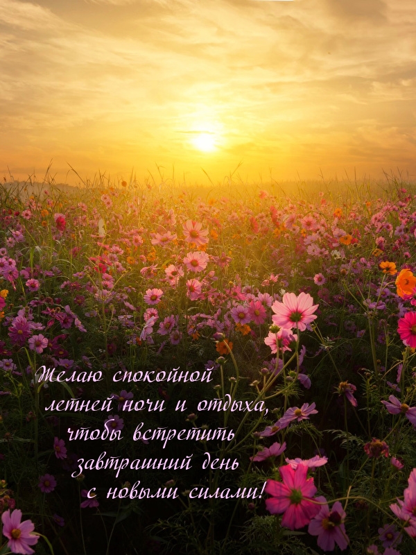 ����� ��������� ������ ���� � ������