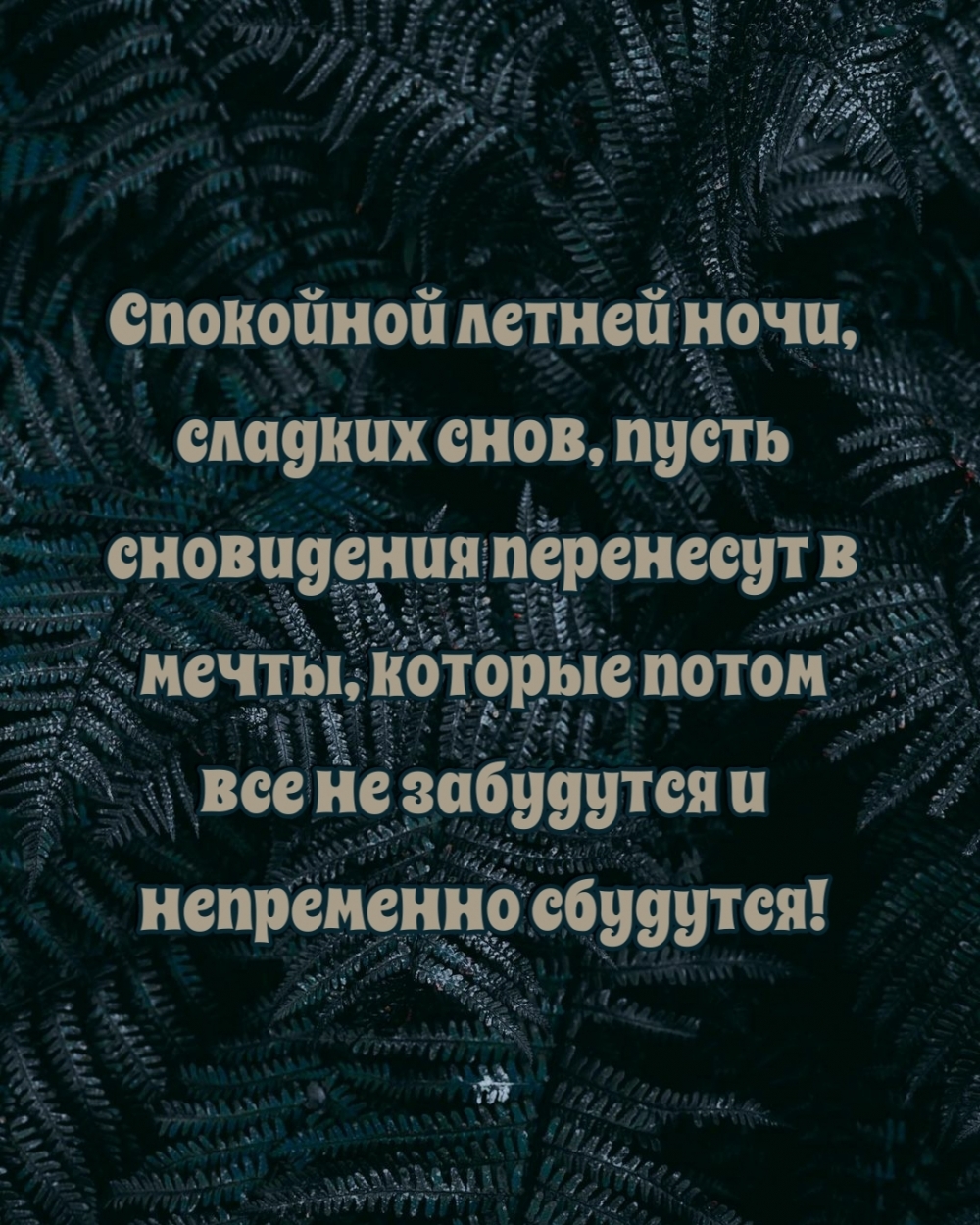   ,  