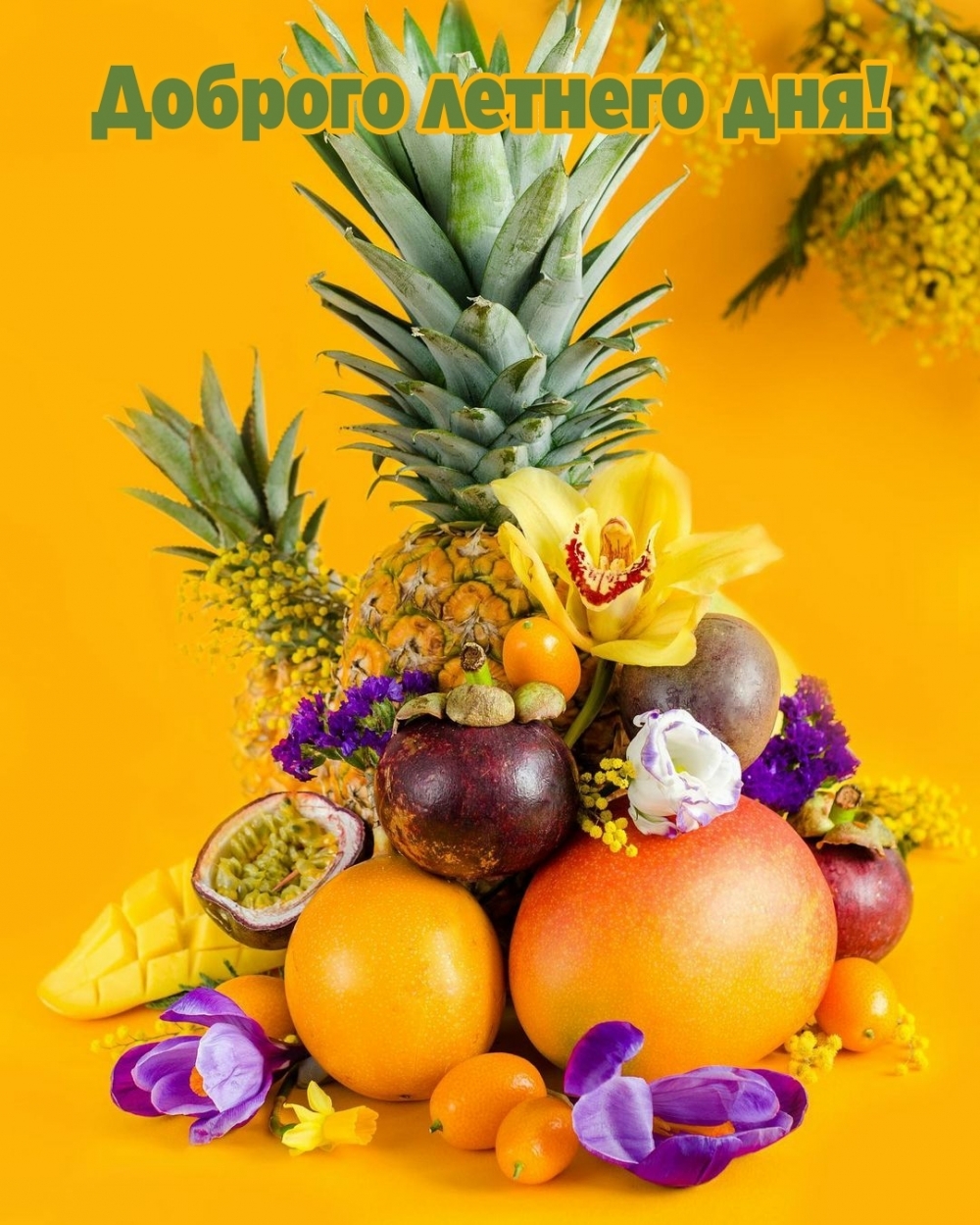 ������� ������� ���!