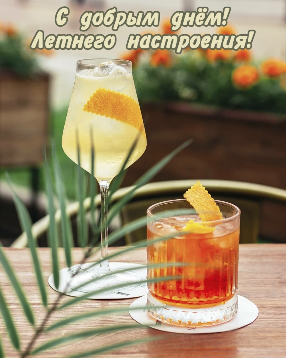 � ������ ����! ������� ����������!