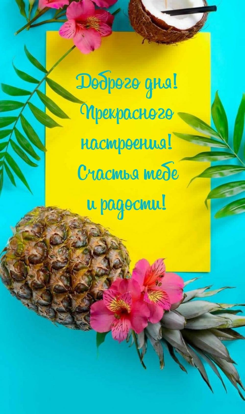 ������� ���! ����������� ����������!