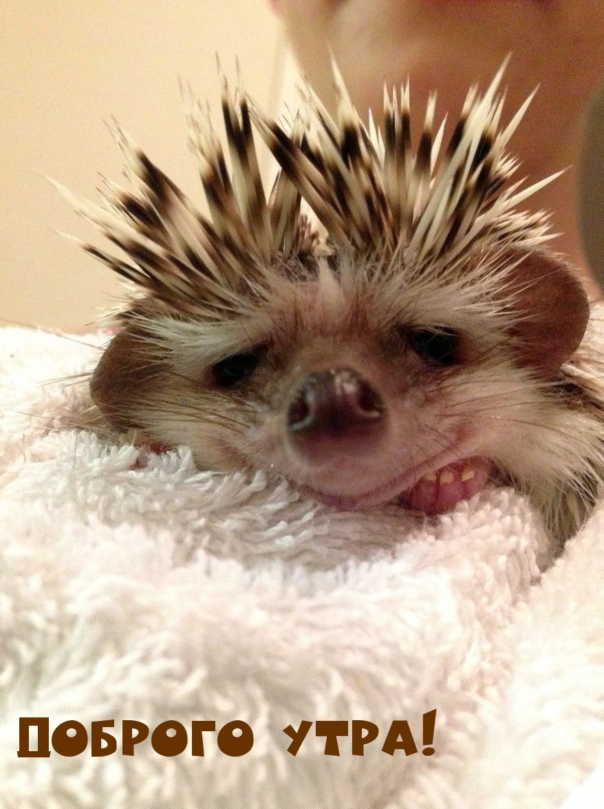 ������� ����!