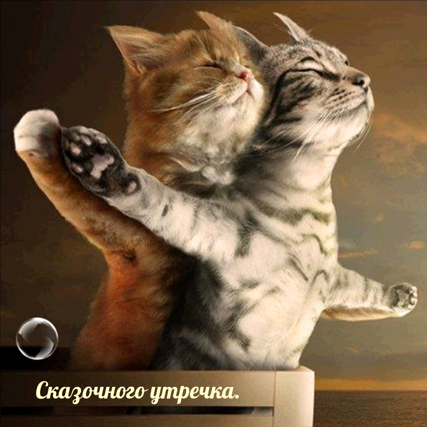 Открыть в полном размере Сказочного утречка.